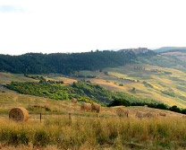 Monte Rufeno Natural Reserve - Landscape