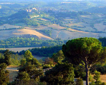 Riserva Naturale Monte Rufeno - Panoramica