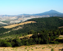 Trevinano - Panorama