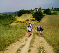 Pellegrini sulla Via Francigena